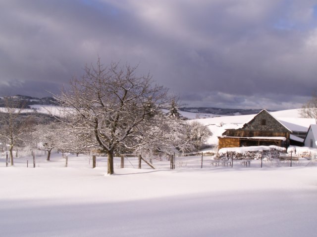 pict0018.jpg